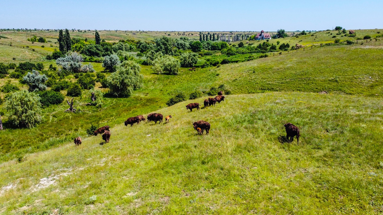 Мальовничі степи, скелі та каньйони: найкращі локації півдня України для теплої осінньої мандрівки